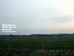 DSC00987a