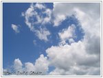 IMG_0055