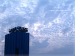 PICT1932_copy