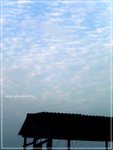 PICT1946_copy