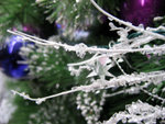 12/12/2005