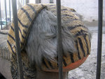 27Jan2007