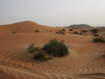DSCF2925