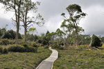 Australia (100)