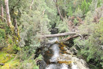 Australia (105)