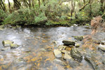 Australia (108)