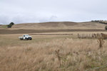 Australia (244)