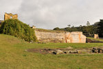 Australia (337)
