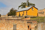 Australia (338)