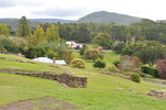 Australia (341)