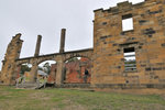 Australia (344)