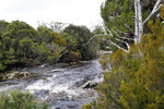 Australia (99)