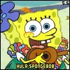 HULA-SPONGE