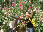 DSC01985