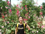 DSC01986