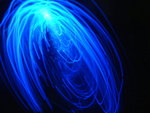 DSCF0252
