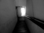DSCF1231(G)