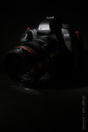 Canon EOS 5D Mark II with EF 24-105 4L IS