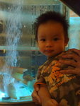 15 month 11 day