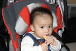7 month 3 day