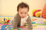 8 month 28 day