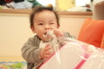 8 month 28 day