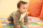 8 month 28 day