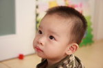 16 month 2 day