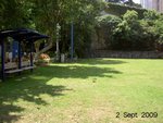 grass