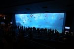 20130701_9999_261