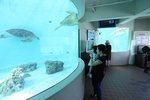 20130701_9999_381