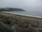 PA050079