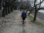 秋田犬
P4060043
