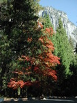 PA060162