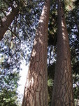 PA060171