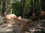 PA060177