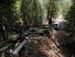 PA060178