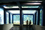 鳥羽水族館
IMG_8215