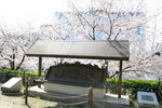 天滿橋
IMG_8703