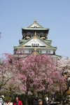 大阪城 
IMG_8802