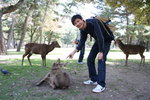 奈良公園 
IMG_8832