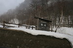 IMG_2842