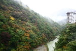 20061027_5819