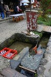 水裡有麵架
20061027_5912