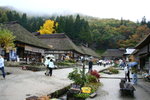 20061027_5915