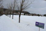 夏天長滿lavender的田
20071230_IMG_3714