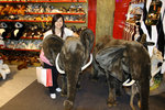 Hamleys
IMG_9295