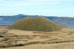20081105_02837