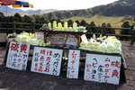 20081105_02880