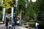 就是為了這些名水!
20081105_03079